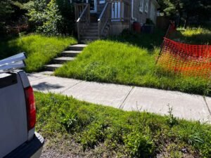 Before grass cutting overgrown lawn in Peterborough