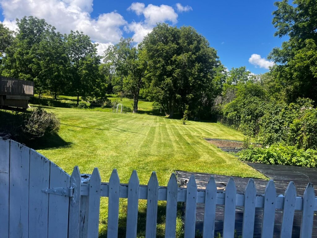Lawn care service in Peterborough with freshly mowed residential lawn